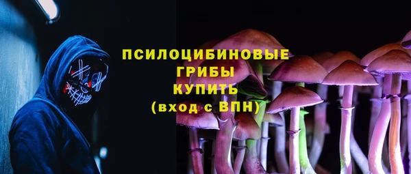 прущие крисы Корсаков