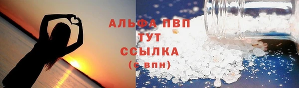 прущие крисы Корсаков