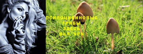 марки lsd Козловка