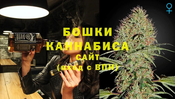 прущие крисы Корсаков