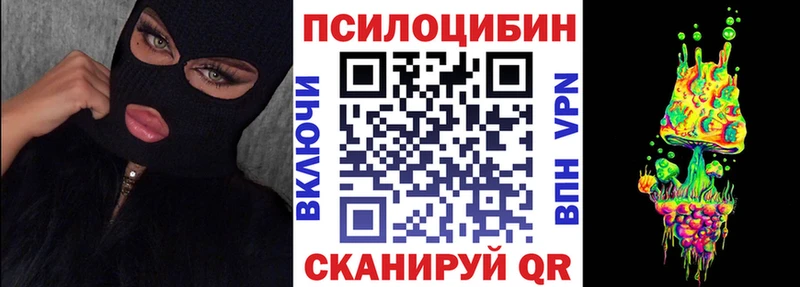 Купить где  Брюховецкая  Галлюциногенные грибы MAGIC MUSHROOMS 